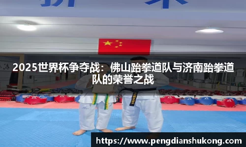 2025世界杯争夺战：佛山跆拳道队与济南跆拳道队的荣誉之战